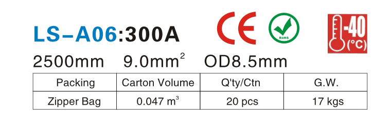 LS-A06-.jpg