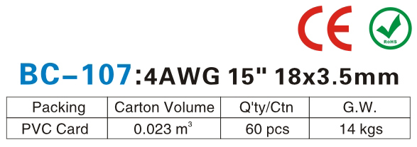 BC-107-.jpg